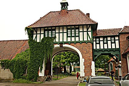 cadinen3